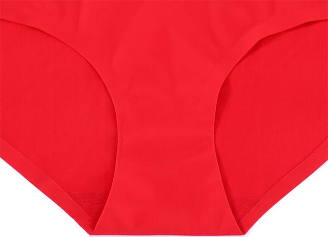 Combo 5 quần lót đúc su AH005