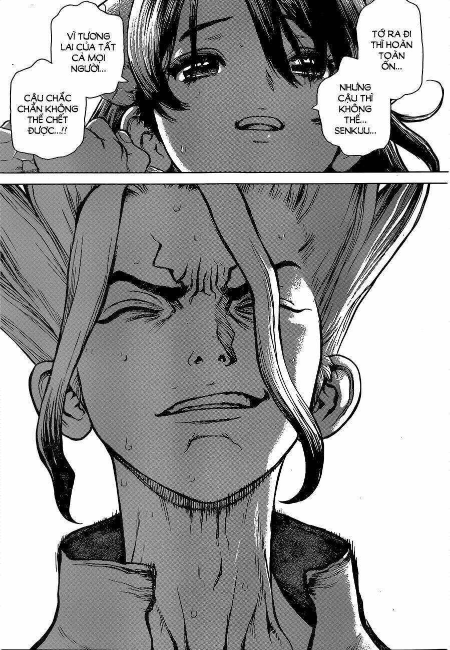 dr.stone - hồi sinh thế giới chapter 9 13