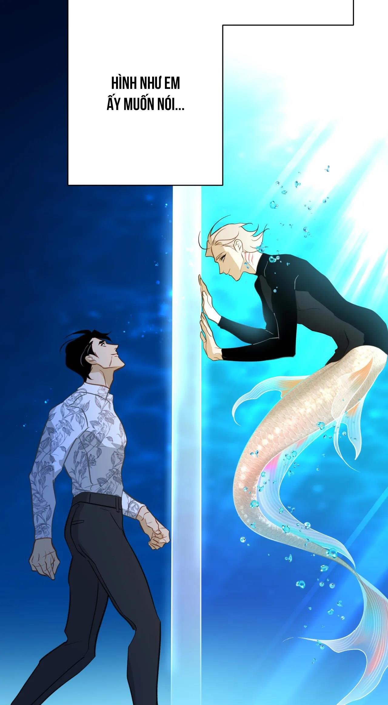 mỹ nhân ngư chapter 11 84