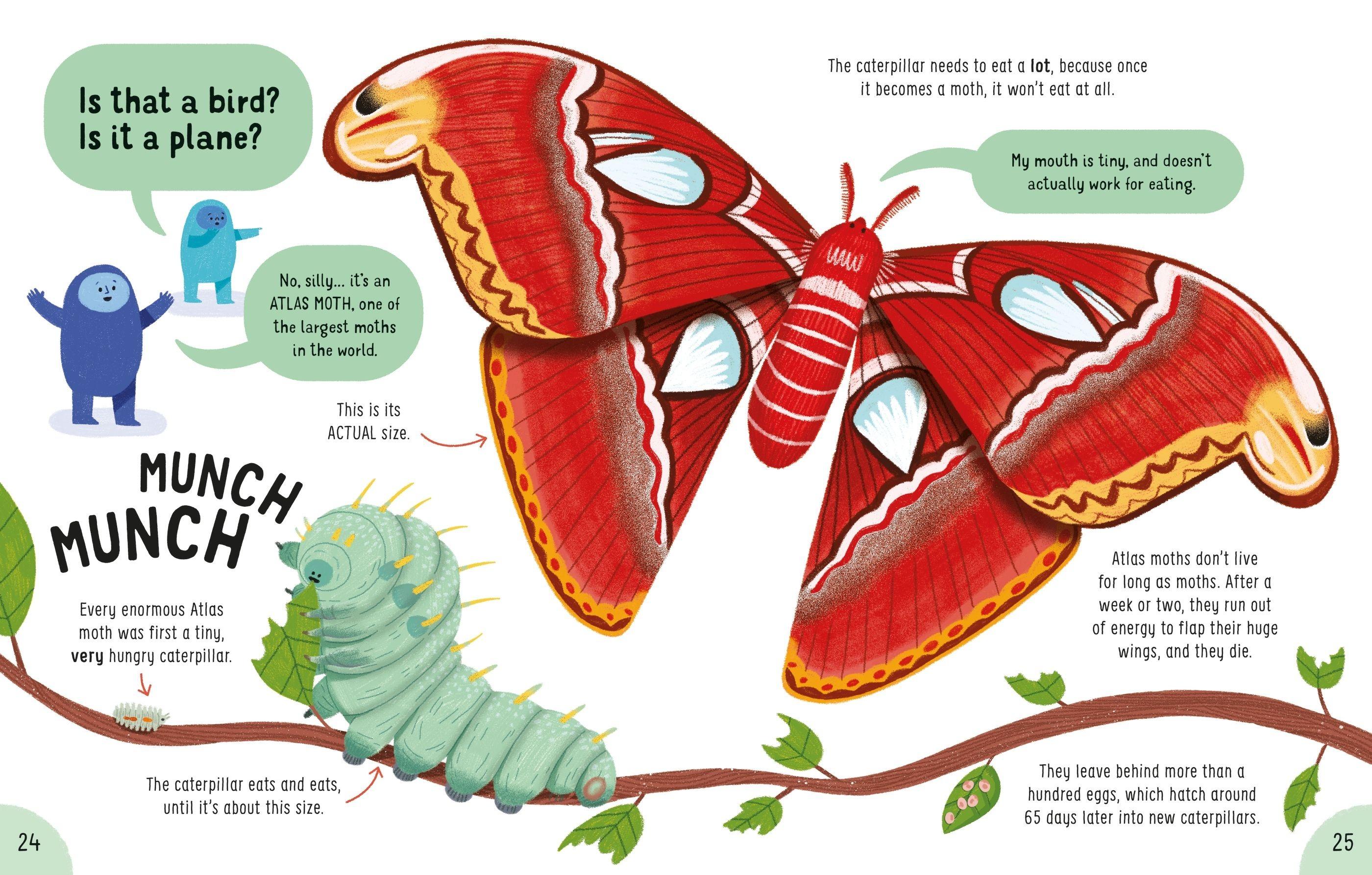 Sách ngoại văn: Lots Of Things To Know About Bugs