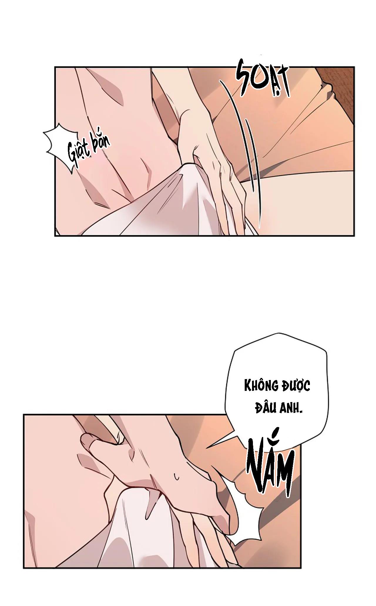 đêm dịu dàng chapter 15 48