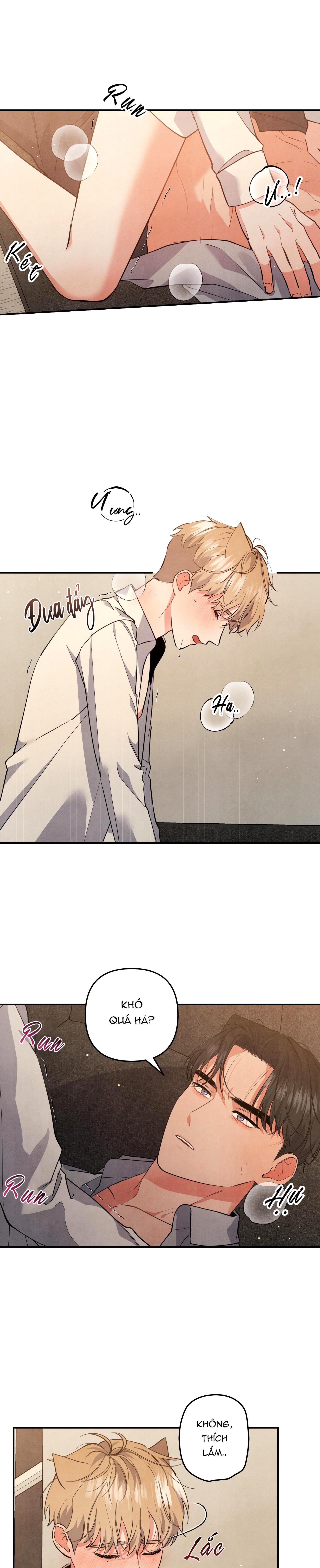 mối quan hệ ngu ngốc chapter 55 19