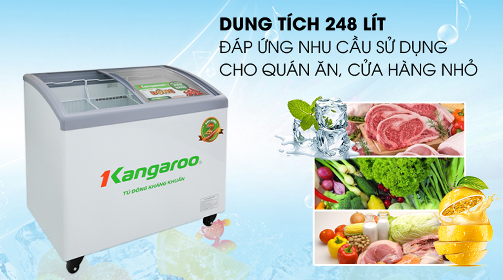 Tủ đông trữ Kem Kangaroo KG308C1 - Hàng chính hãng