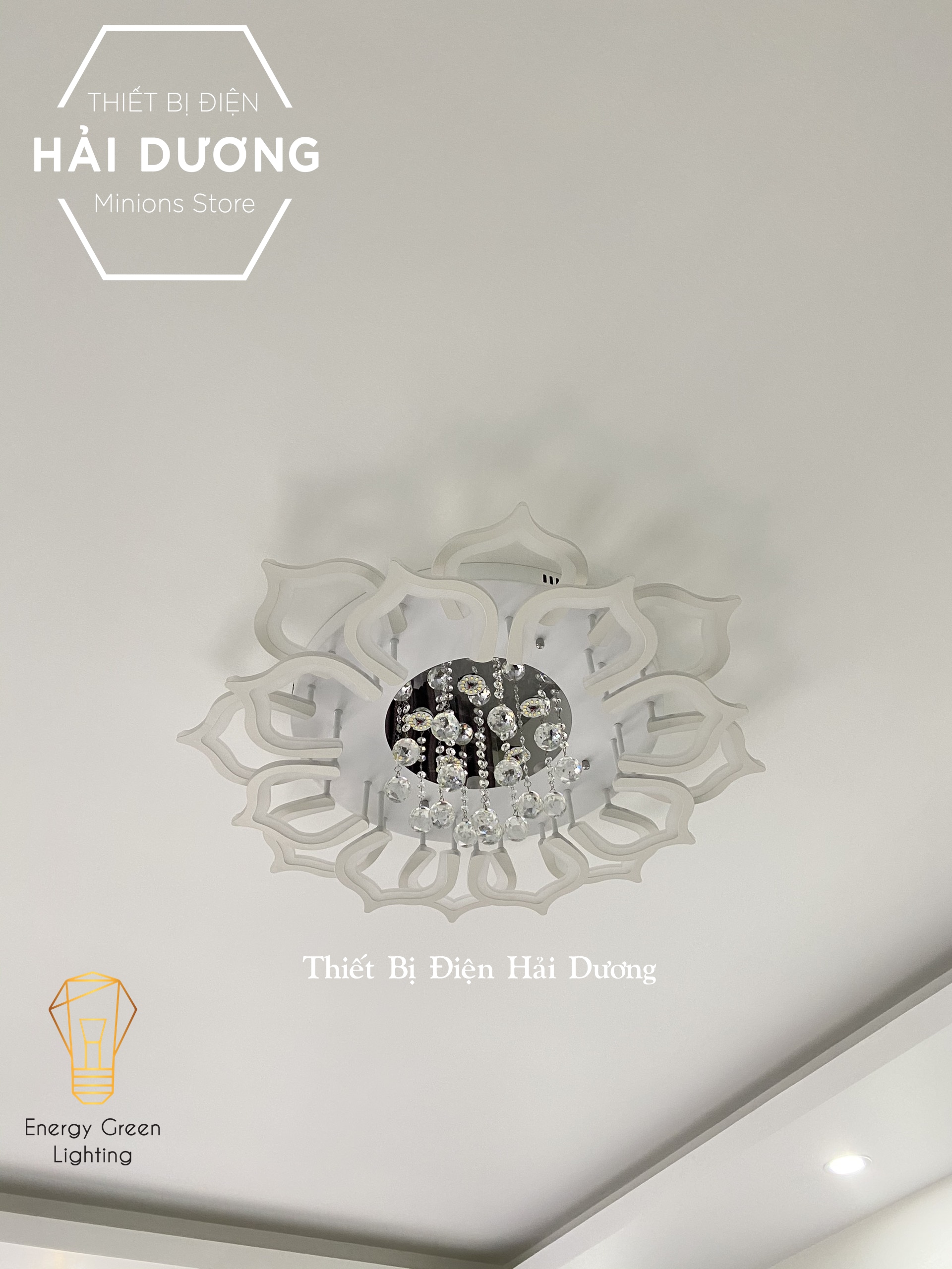 Đèn LED ốp trần hình hoa sen pha lê lấp lánh 16 cánh NT-033 - 3 Chế độ ánh sáng - Có điều khiển từ xa - Có Video
