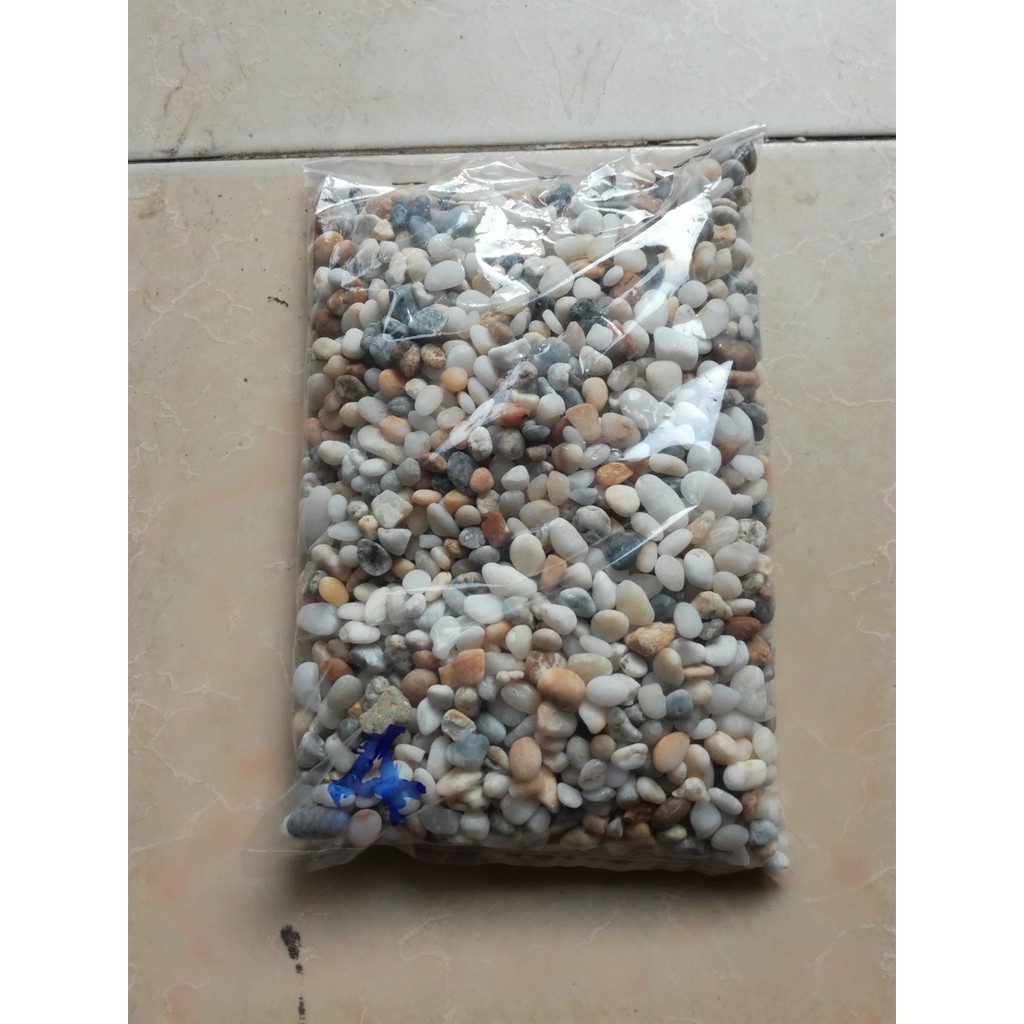 Sỏi biển trang trí chậu cây