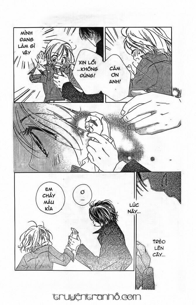 gió xuân chapter 2 8