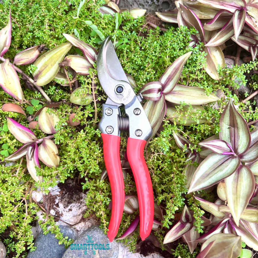 Kéo cắt tỉa cành cây S-880 Hàn Quốc, tỉa bonsai lưỡi cắt siêu sắc, độ bền vượt trội