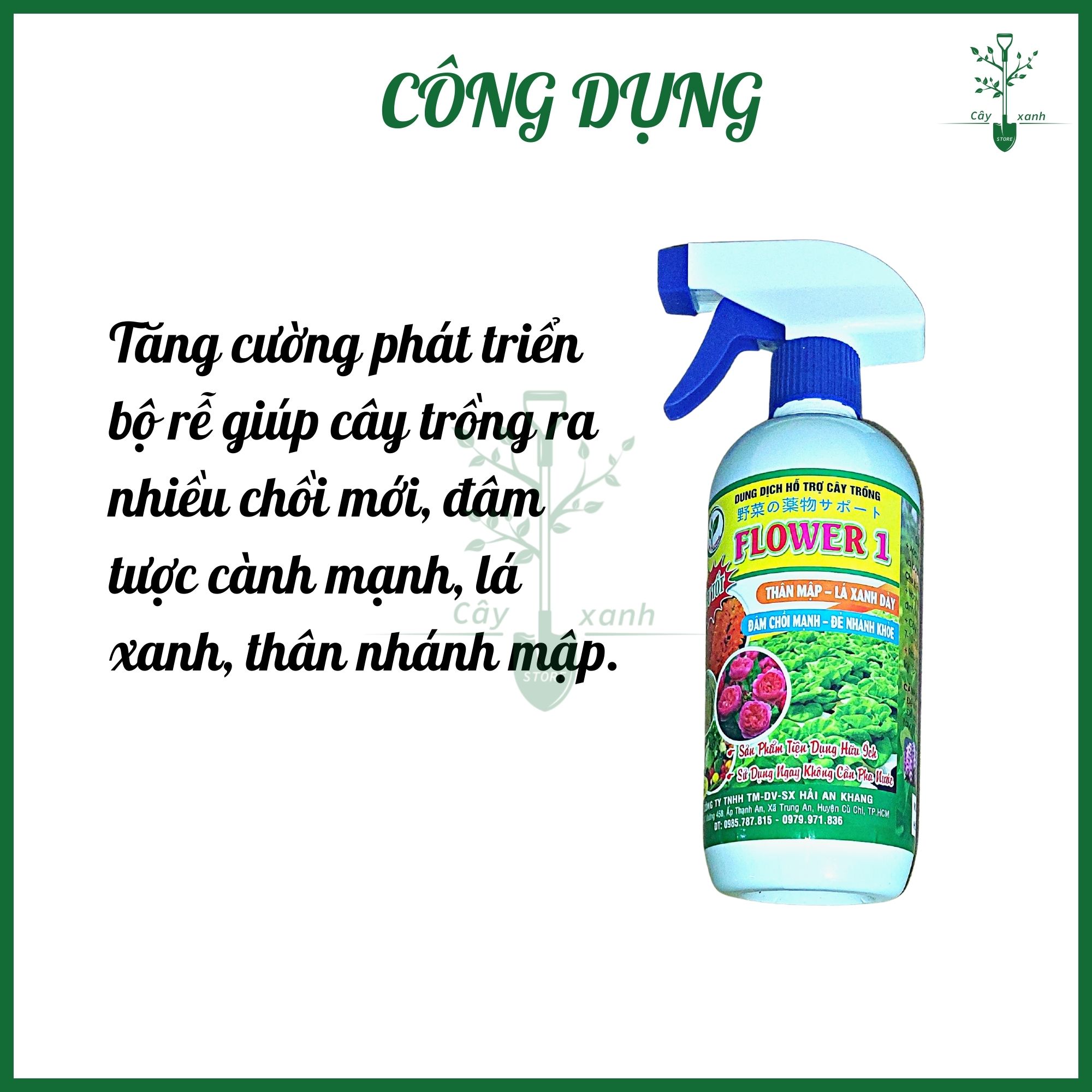 Dung dịch FLOWER 1 - Chai xịt 550ml Phun trực tiếp không cần pha - Giúp mập thân, xanh lá, đâm chồi - Cây Xanh Store