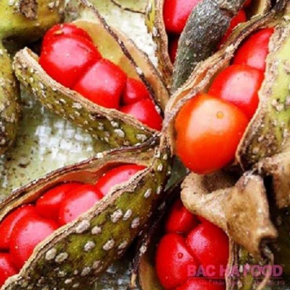 Sản phẩm CÂY DỔI GHÉP CÓ QUẢ SAU 2 NĂM TRỒNG