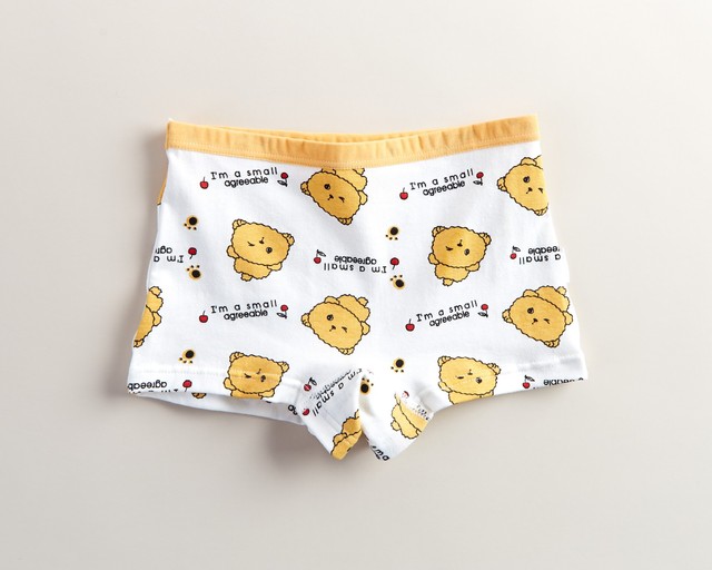 Quần lót bé gái combo 5 chiếc kháng khuẩn 100% Cotton thoáng mát hàng xuất Hàn