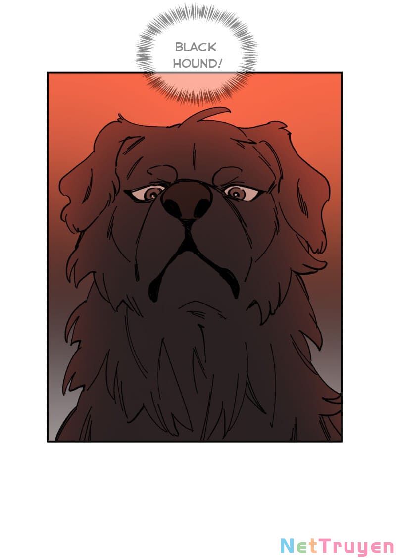 lumine - cội nguồn ánh sáng chapter 113 24