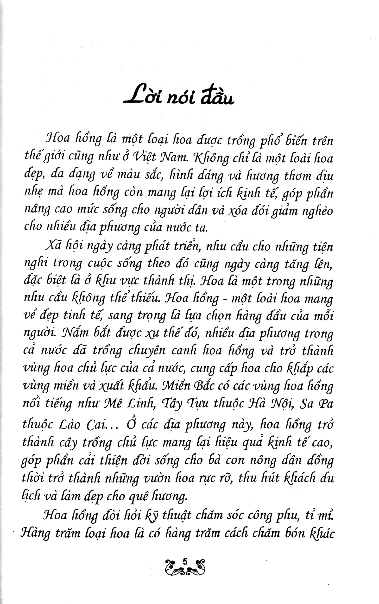 Kỹ Thuật Trồng Và Chăm Sóc Hoa Hồng