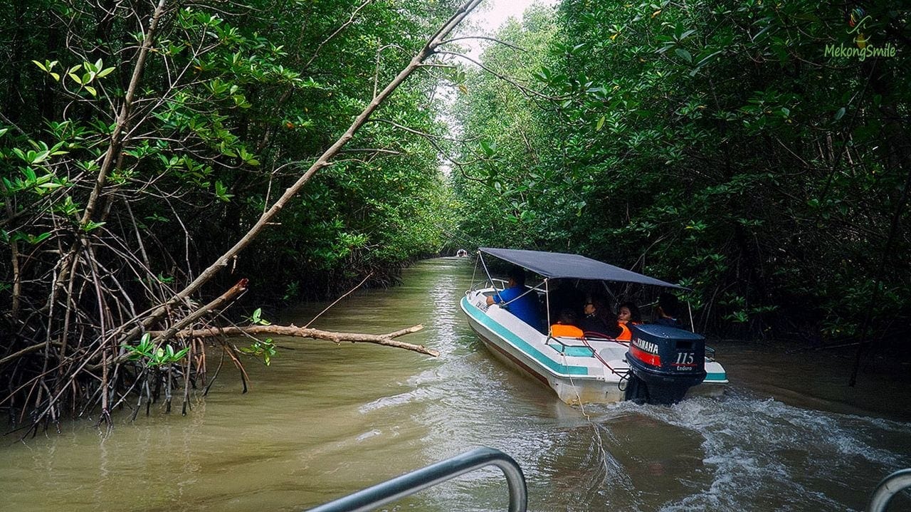 Tour Cà Mau 1 ngày giá rẻ – Khám phá Đất Mũi Cà Mau
