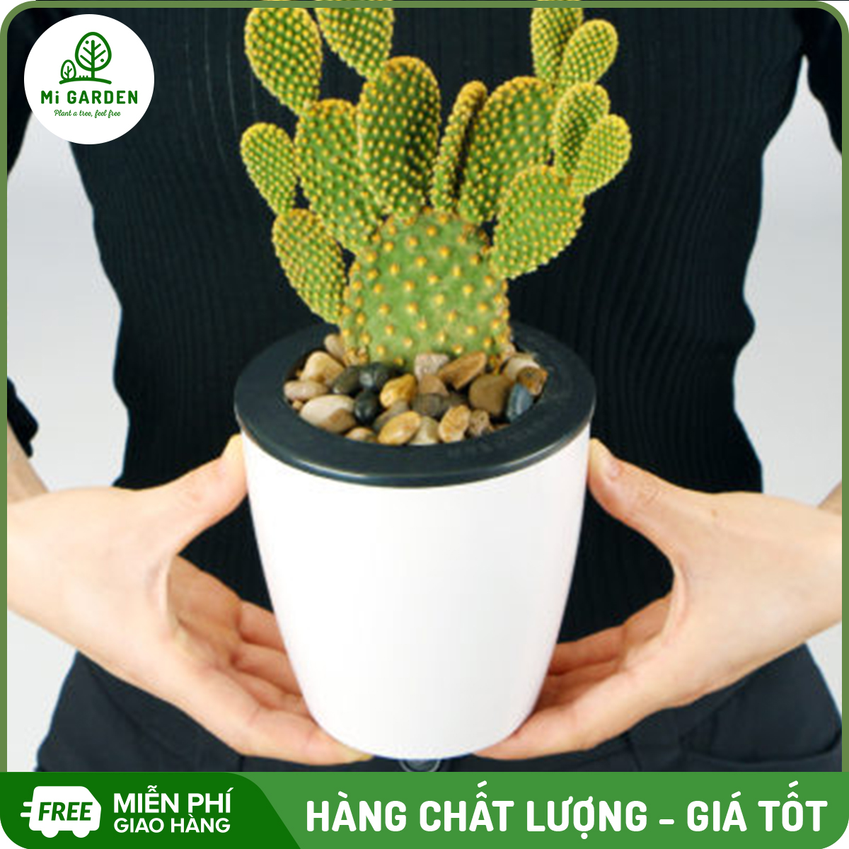 Chậu nhựa tự tưới Trắng Mi Garden, chậu có 2 lớp tự tưới giúp bạn trồng cây dễ dàng trong gia đình hoặc văn phòng, đặc biệt dành riêng cho các bạn không có nhiều thời gian chăm sóc cây,  chậu đẹp và bền, dùng để bàn, bếp hoặc  ban công đều được
