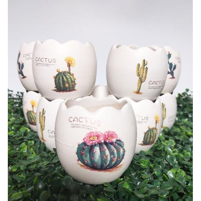 Chậu sứ hình trứng mini trồng cây in hình đẹp, chậu sứ mini, chậu sứ men mát, trồng sen đá, xương rồng, cẩm nhung