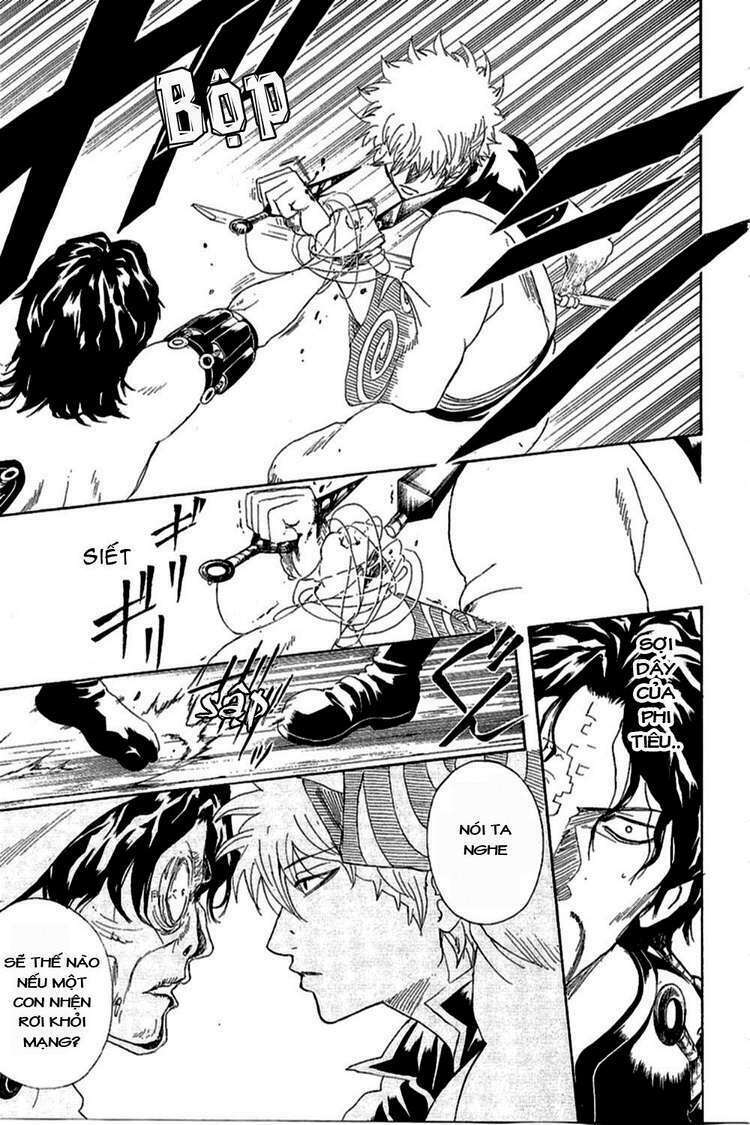 gintama - linh hồn bạc chapter 259 17
