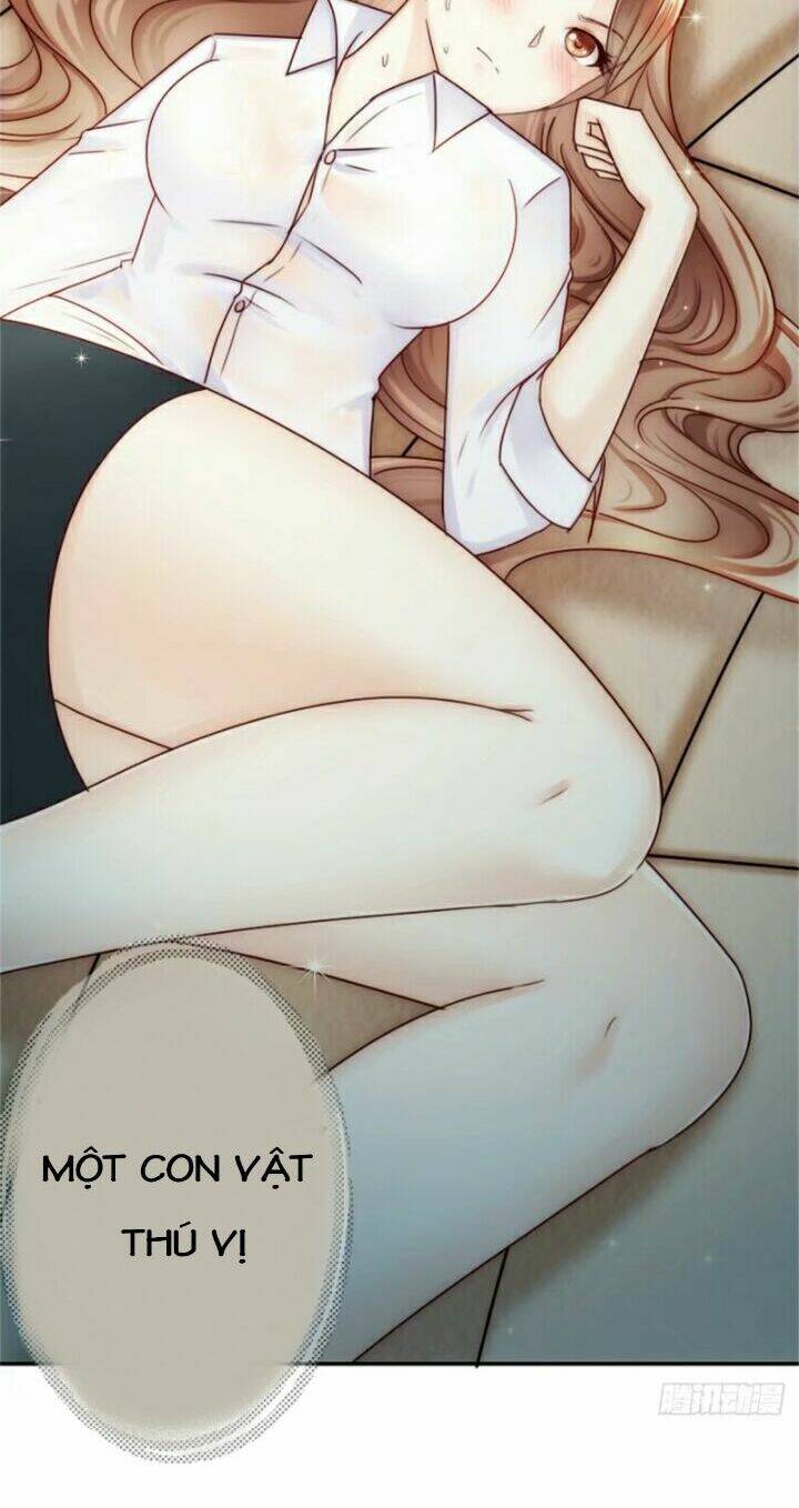 thất ức kiều thê sủng ái ký chapter 3 39