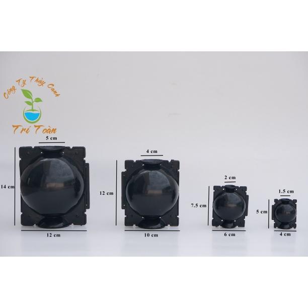 Bộ 40 Bầu Nhựa Chiếc Cành Đủ Kích Thước Từ 4cm, 6cm, 10cm, 12cm