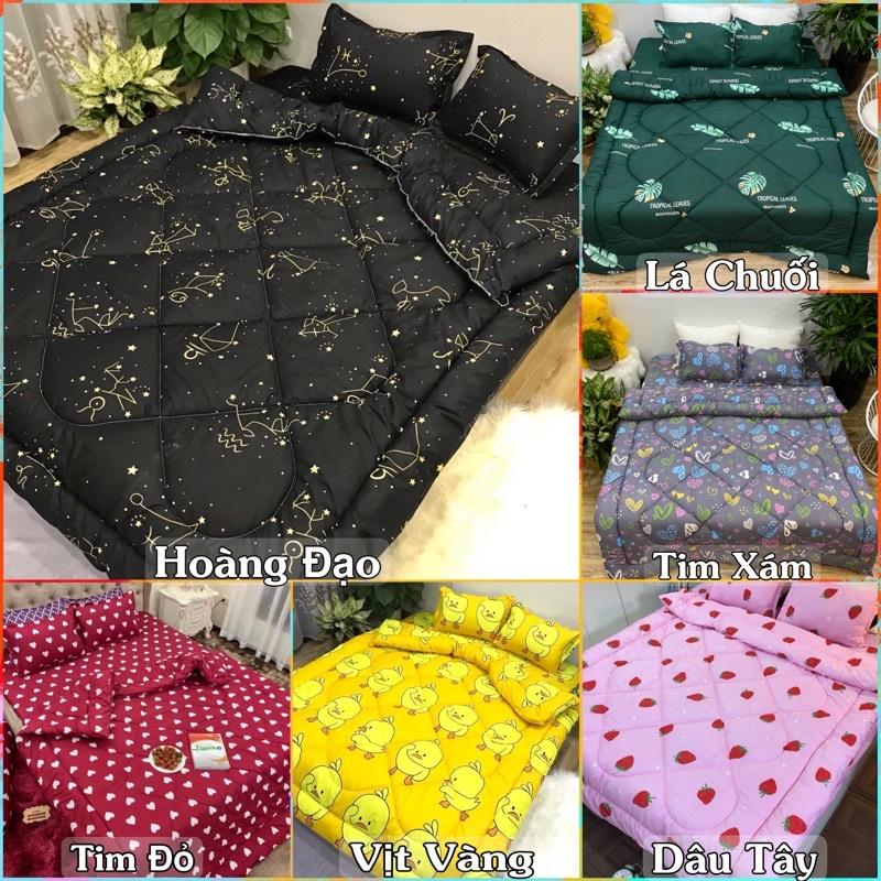Trọn bộ 5 món ga gối chăn phao poly cotton có ruột bông dày loại 1