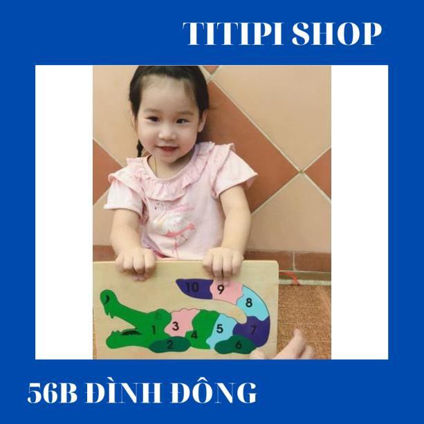 Tranh Ghép Cá Sấu Học Số Việt Nam