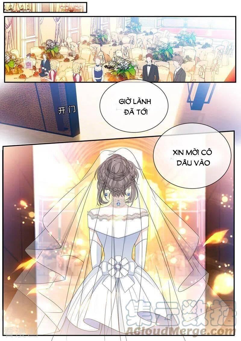 thiếu soái! vợ ngài lại bỏ trốn chapter 437 6