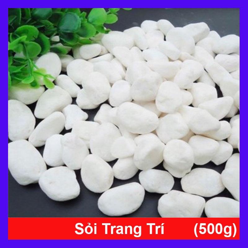 Đá sỏi trang trí chậu cây - 500g