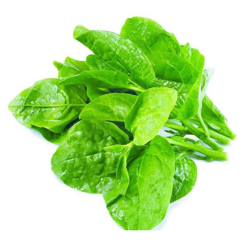 Hạt giống Mồng Tơi TN1 Trang Nông - 50gr Cây lớn, lá tròn, to, hơi dày, màu xanh đậm, ăn ngon, mềm