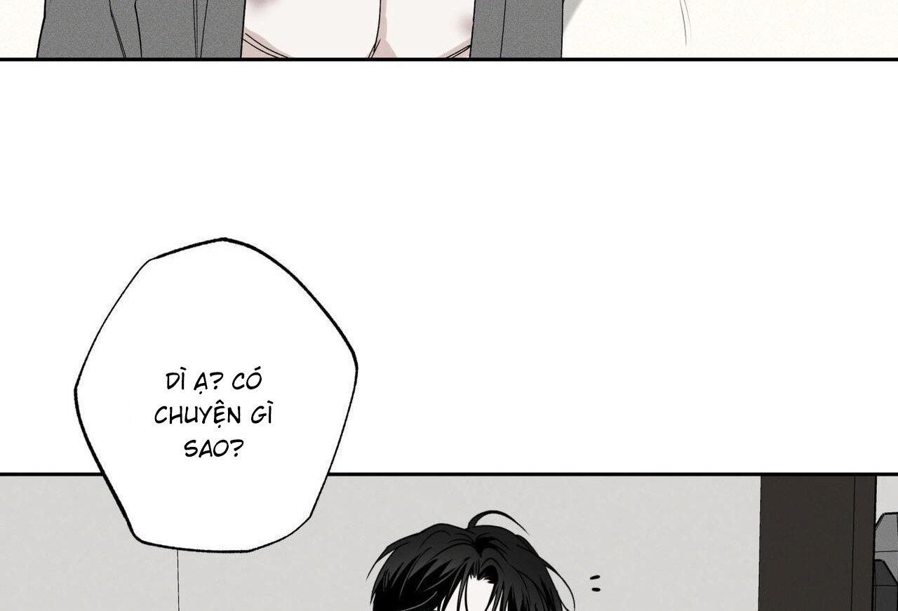 chàng giao pizza và gold palace chapter 48 154