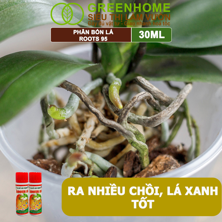 Phân Kích Rễ Cực Mạnh ROOTS 95, GreenHome, Chai 30ml, Kích Ra Rễ Cực Mạnh Chuyên, Cho Hoa Lan