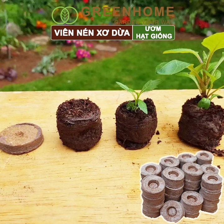 Viên Nén Xơ Dừa Greenhome, Ươm Hạt Giống, Ươm Cây Con Tiện Lợi, Đầy Đủ Dinh Dưỡng, Cây Phát Triển Nhanh