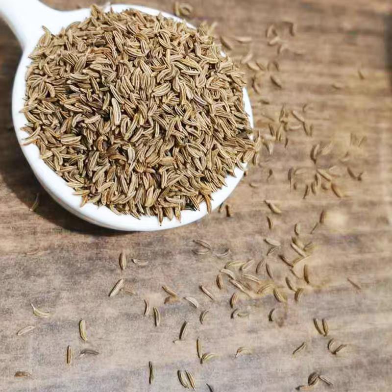 50-100gr Caraway seed/ Hạt thì là Ba Tư/ Hạt Caraway