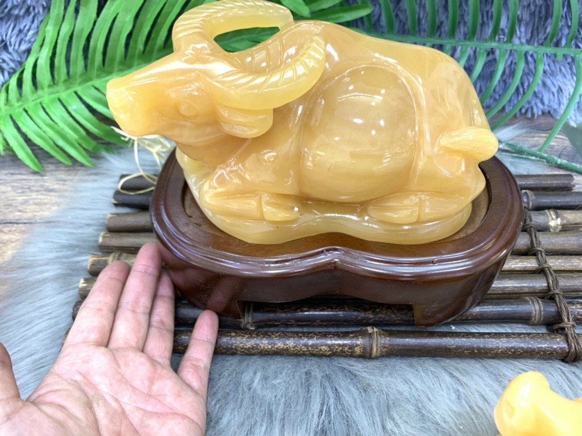 Trâu vàng đá Ngọc hoàng Long vàng 20cm 2,25kg