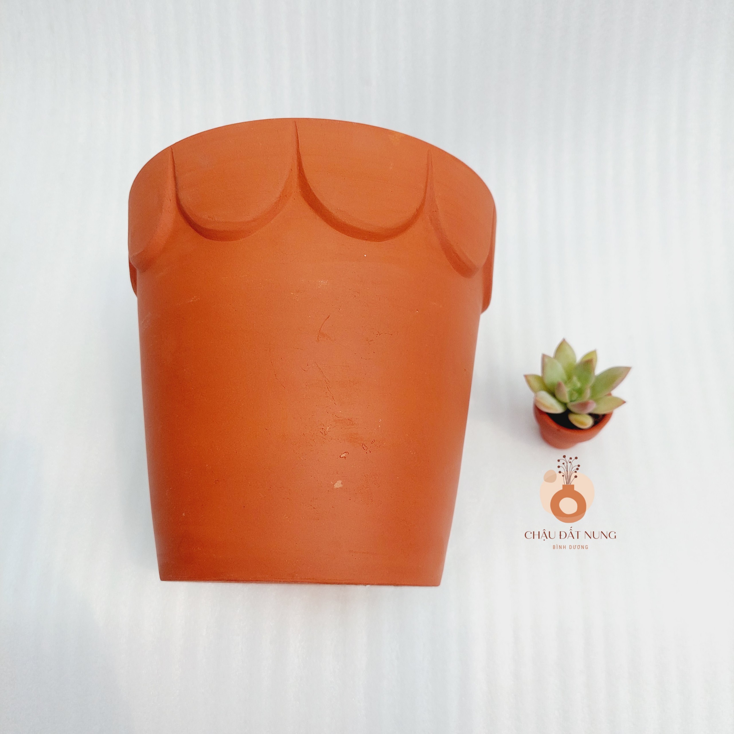 Chậu đất nung - Ly gờ hoa, miệng chậu 16cm, chiều cao 16cm