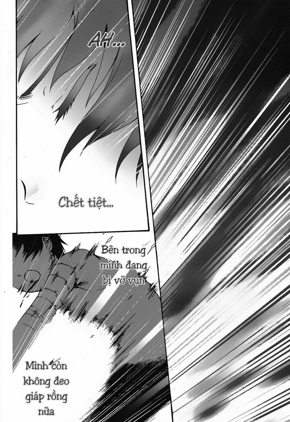 seikoku no dragonar chapter 19 28