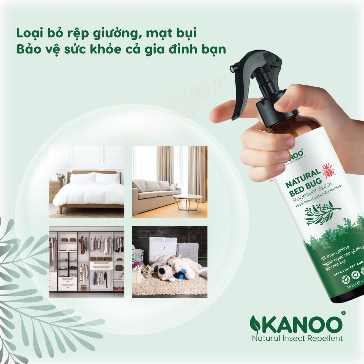 Bình xịt hỗ trợ ngăn ngừa ve bọ, rệp giường, mạt bụi KANOO, thành phần từ thảo dược tự nhiên. Bình xịt thơm phòng, hỗ trợ đuổi côn trùng