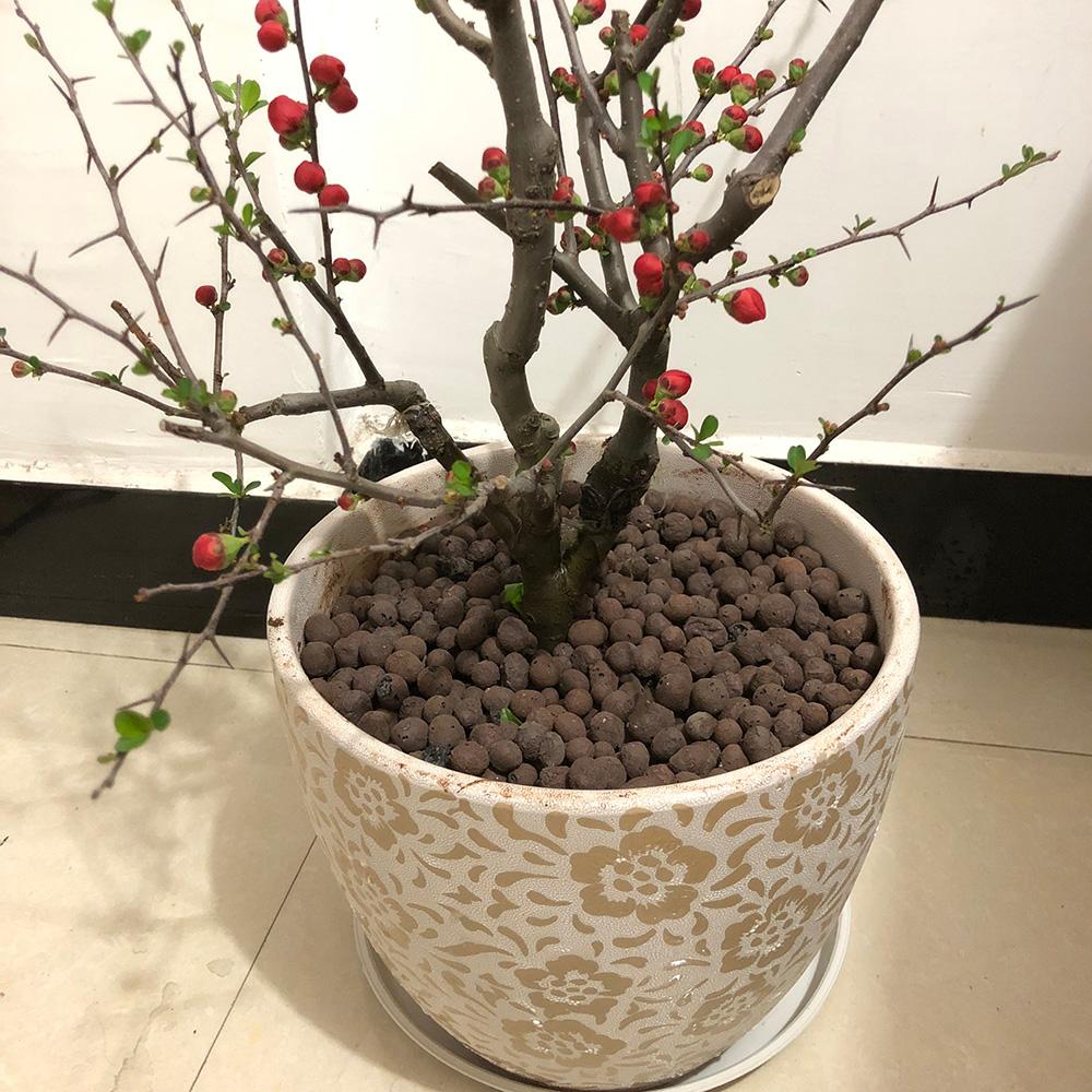 Bộ lọc nuôi trồng thủy sản Anion