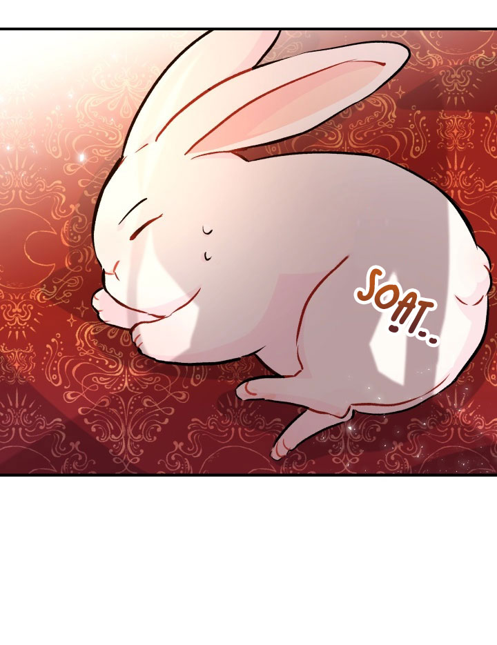 mối liên kết giữa báo đen và bé thỏ chapter 2 44