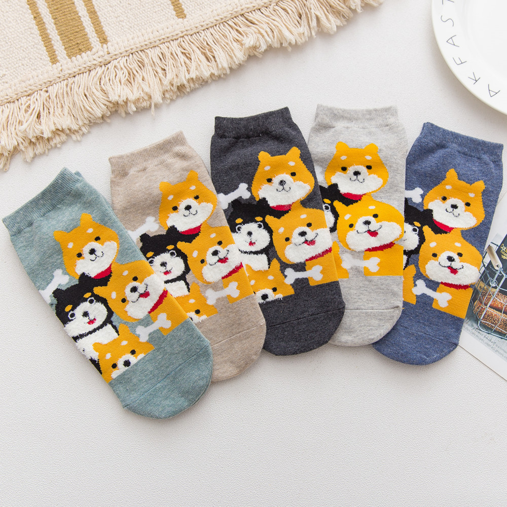 Combo 5 Đôi Vớ Chú Chó Chiba Xinh Xắn CT-5B