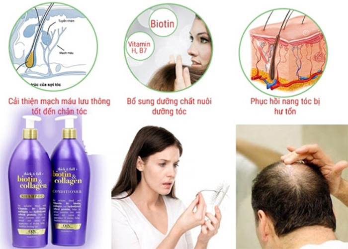 Combo 2 Chai Dầu Gội Và Xả Ngăn Ngừa Rụng Tóc OgX Biotin &amp; Collagen 750ml - USA