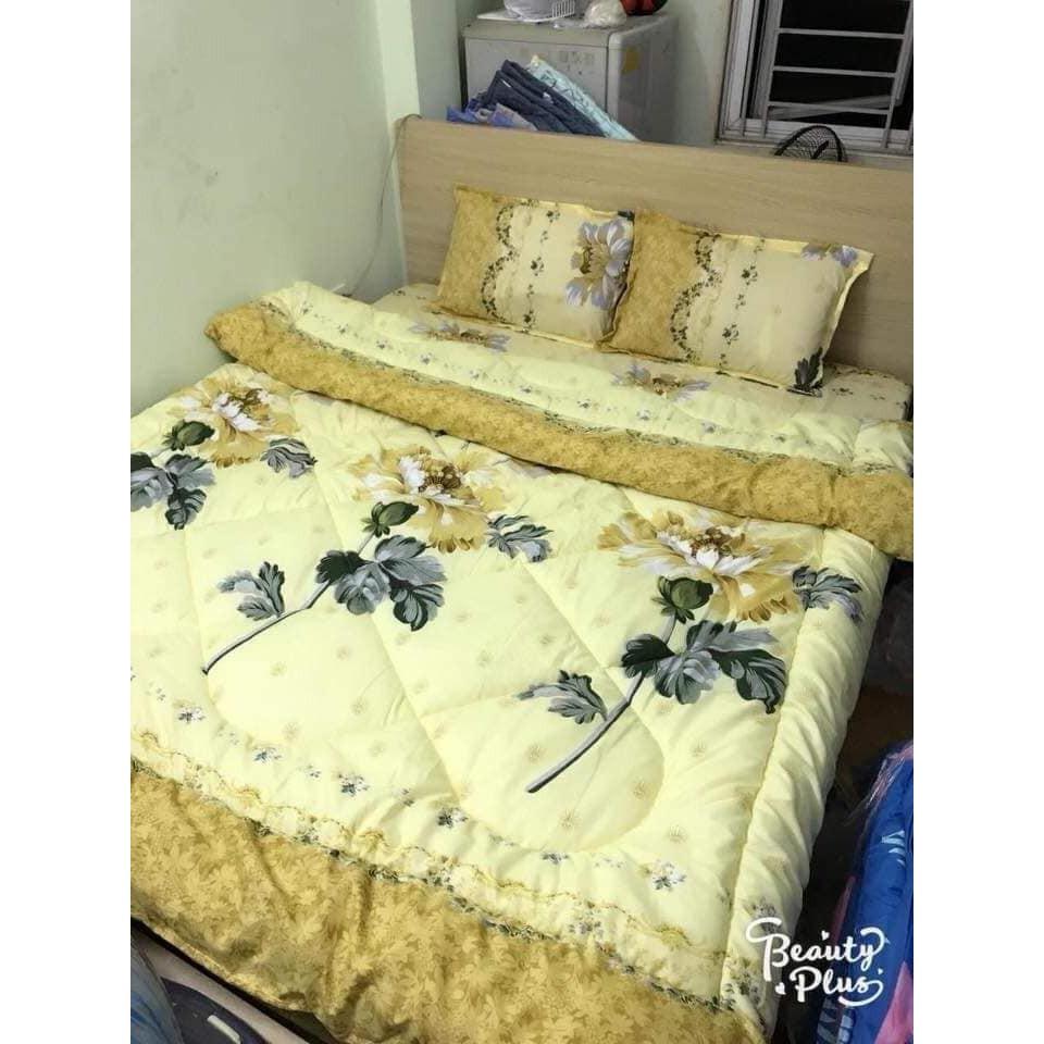 Bộ ga gối poly