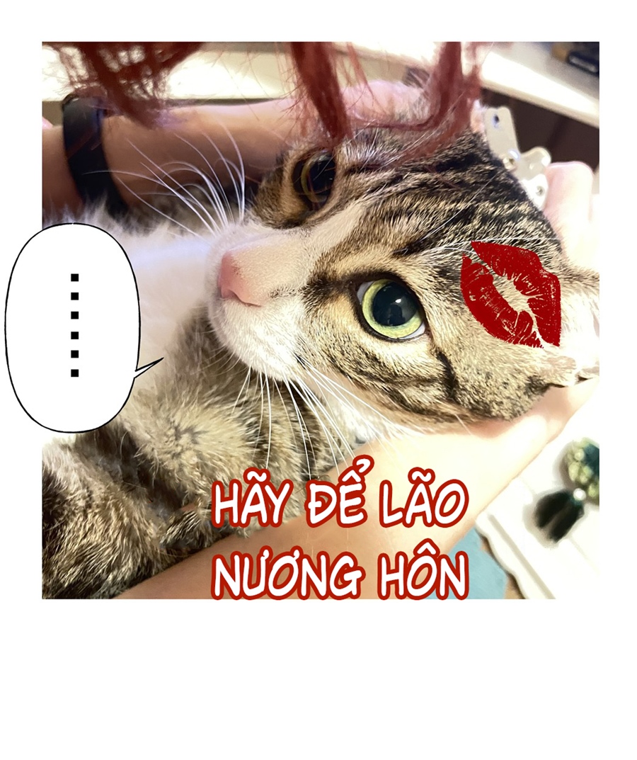 đừng nói yêu tôi chapter 52.1 10