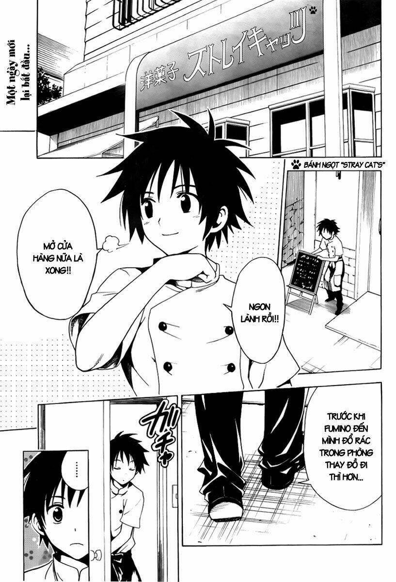 mayoi neko overrun! chapter 1 9