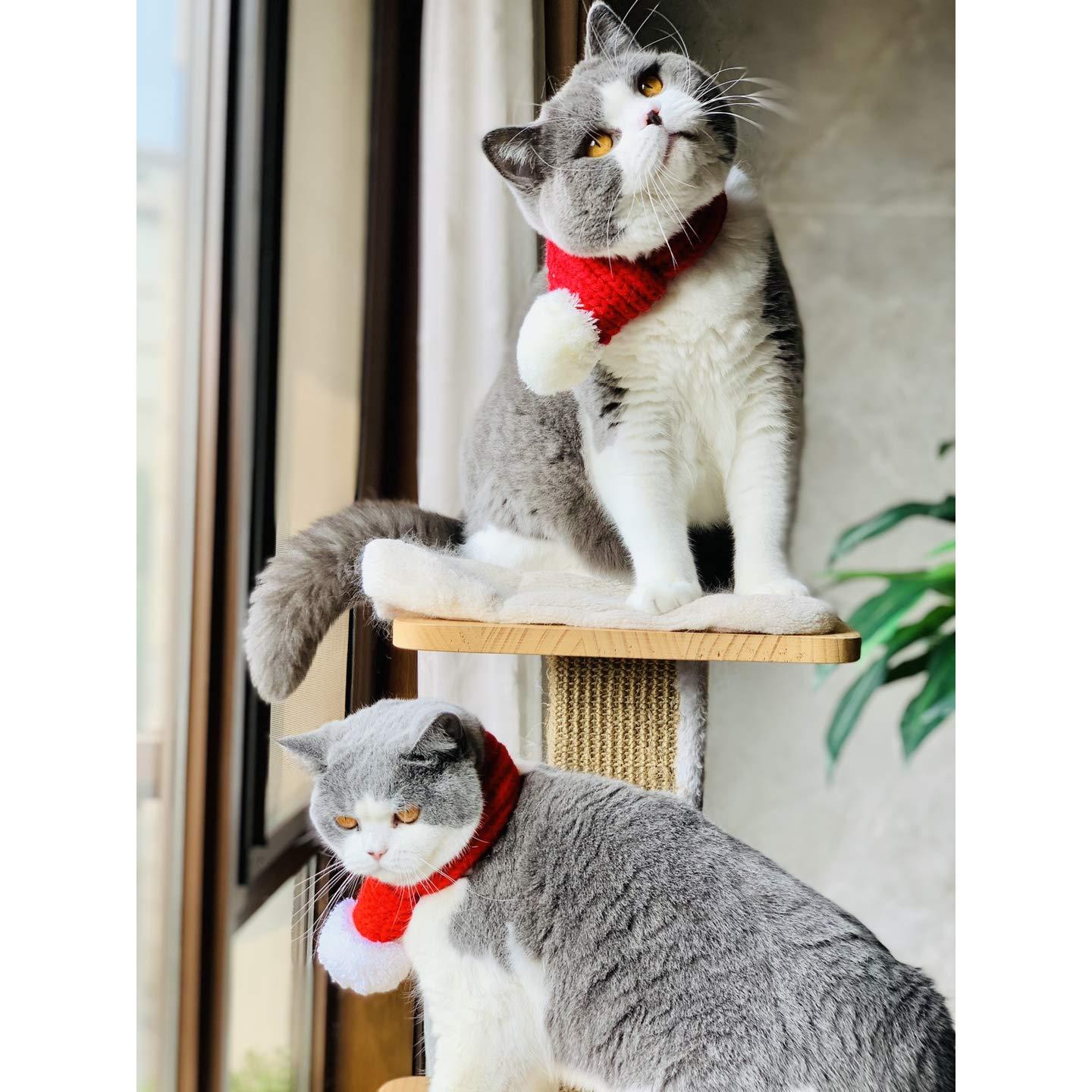 Trang phục thú cưng Khăn quàng cổ thú cưng Quần áo thú cưng cho chó và mèo kích thước l