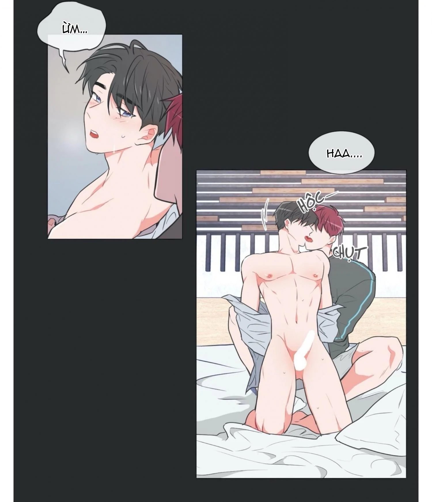 anti p.t chapter 31 3