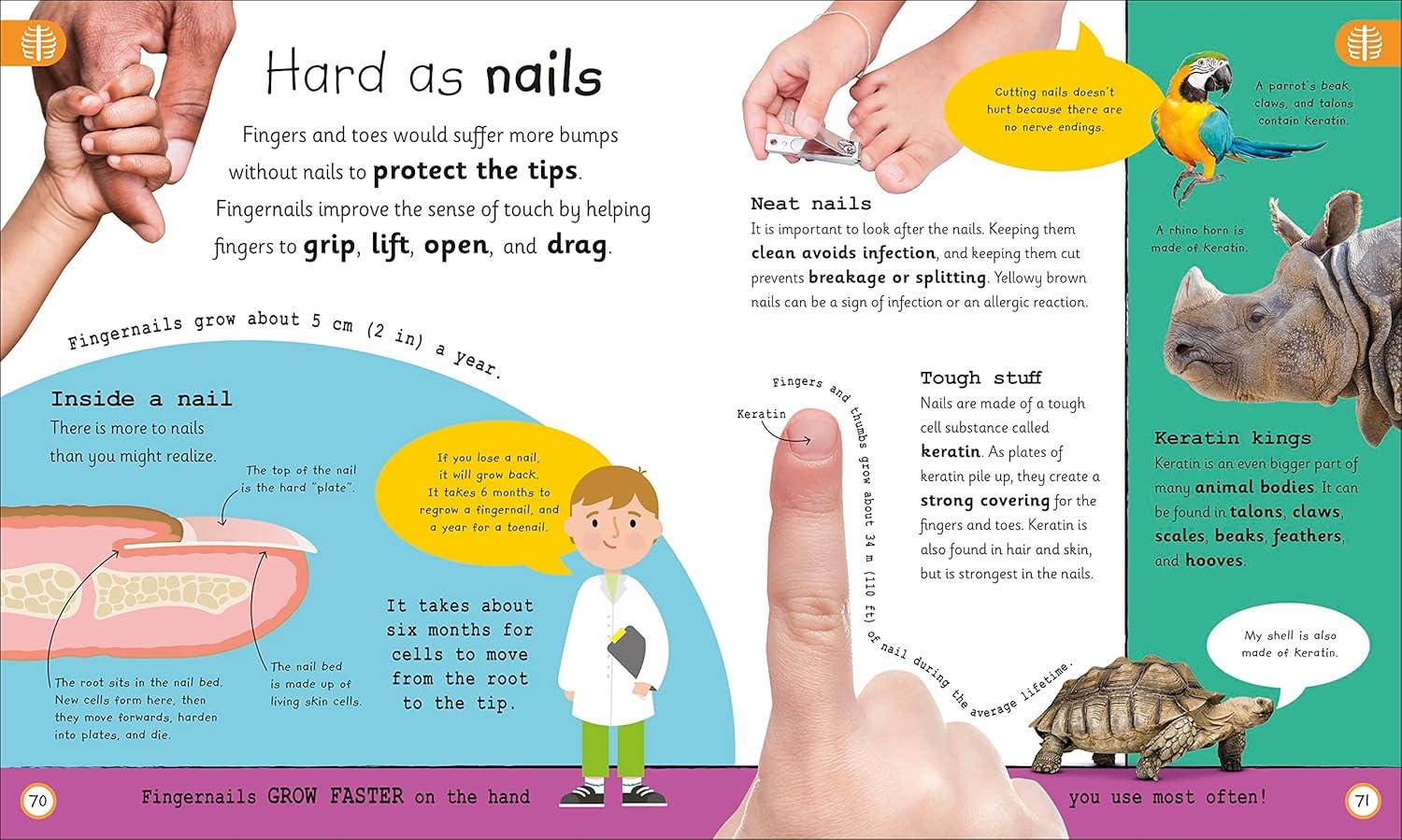 Sách ngoại văn: My Very Important Human Body - Encyclopedias