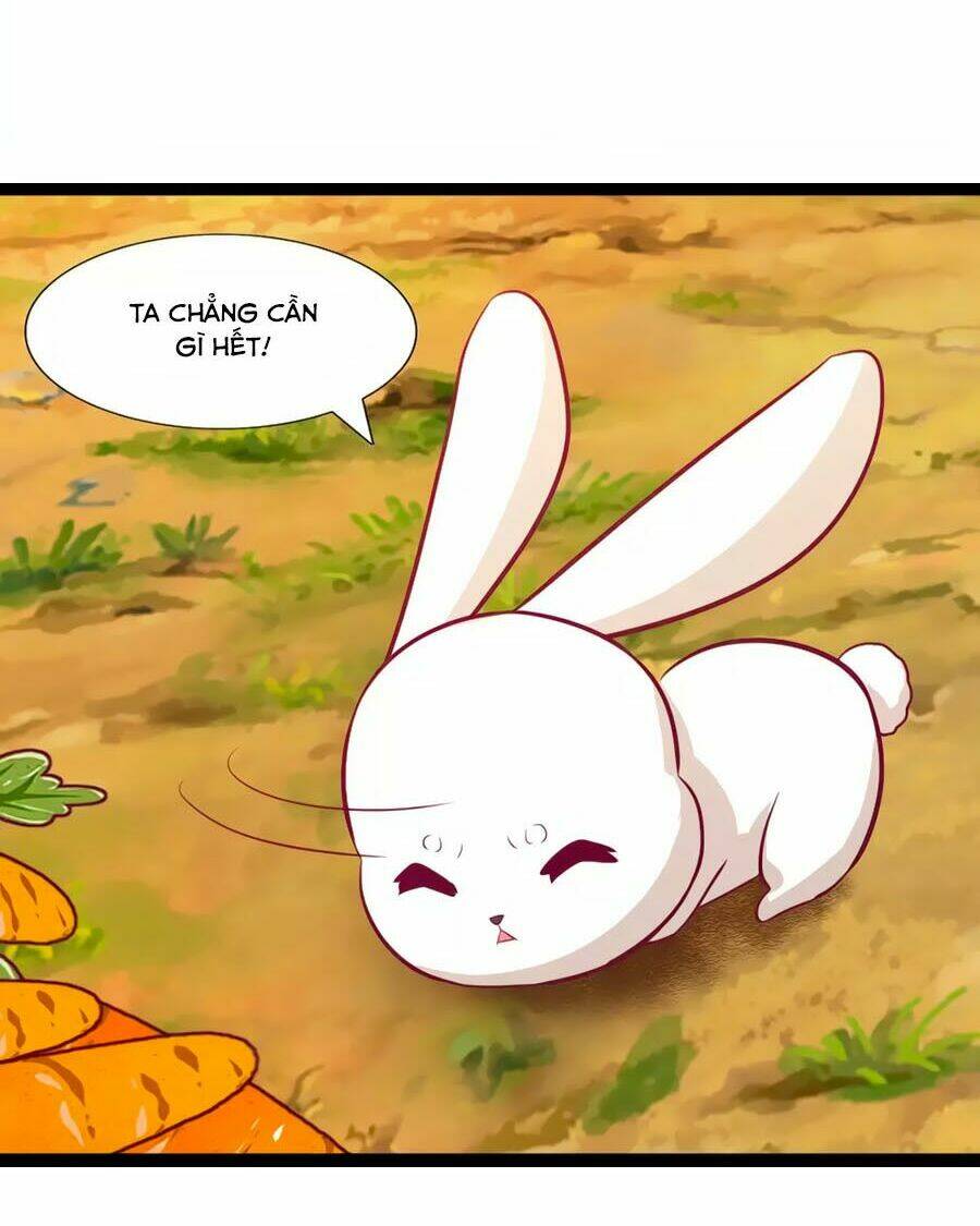thỏ yêu tiểu vương phi chapter 94 21