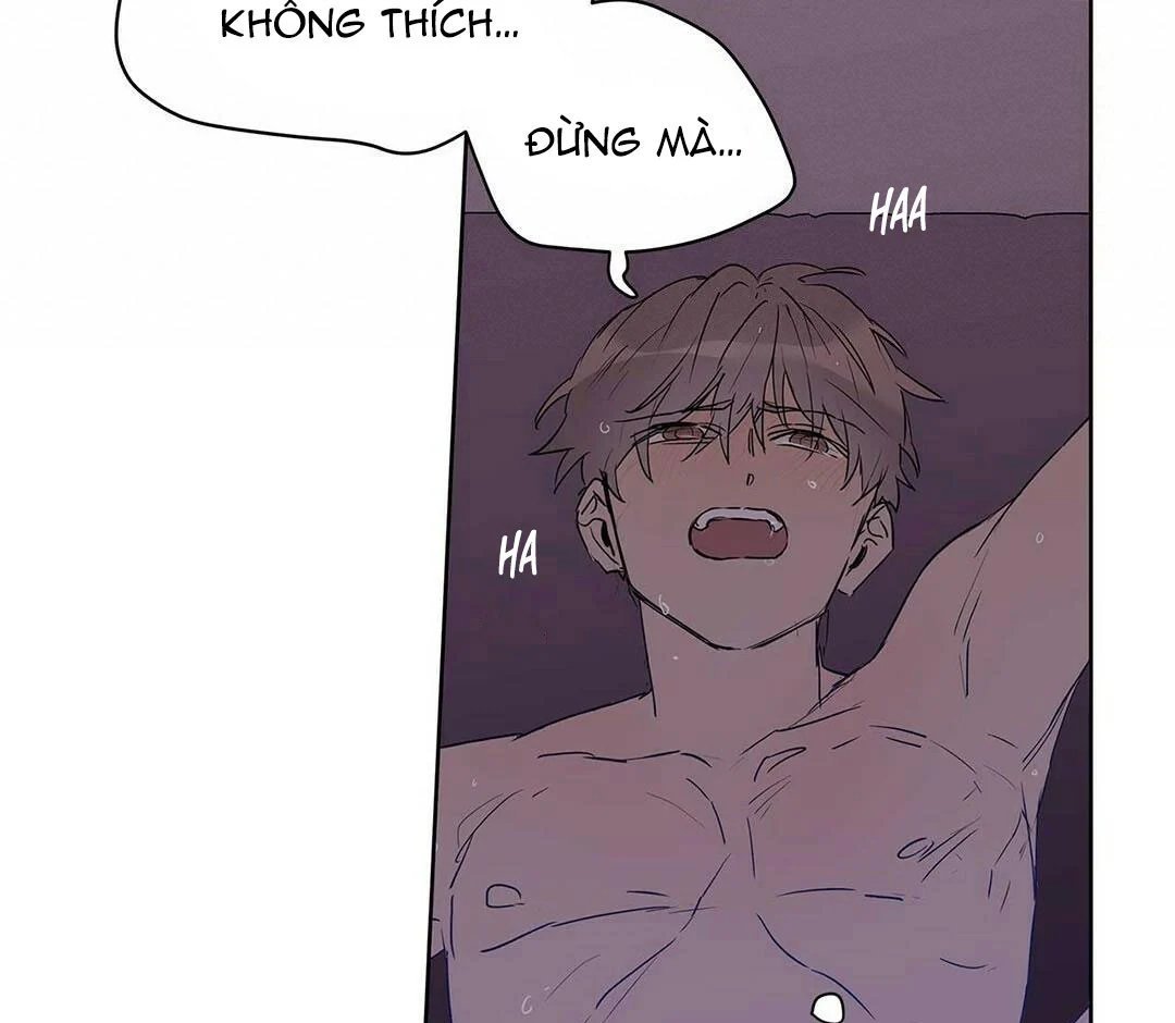 guide cấp b chapter 21 57