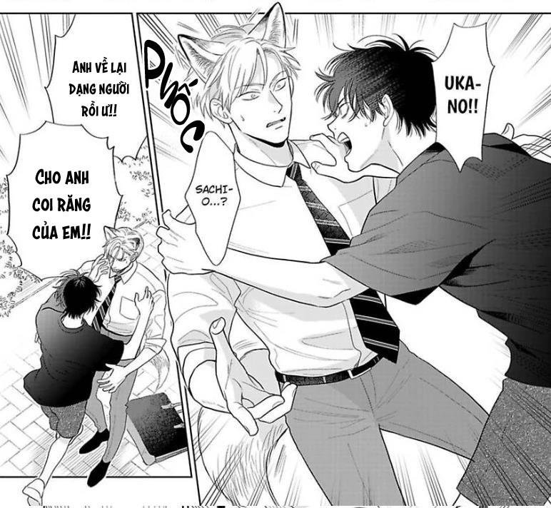 khiến một omega tuyệt hảo rít lên chapter 10 52