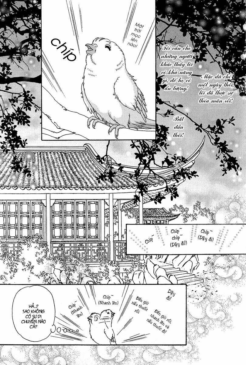 bird of youth chapter 1 34