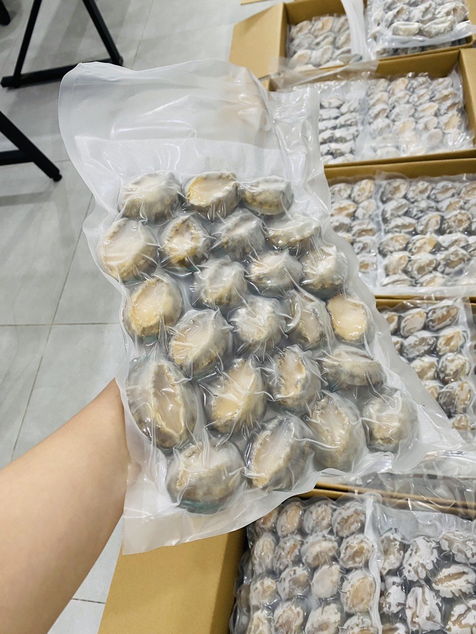 Bào ngư Chile - 1kg